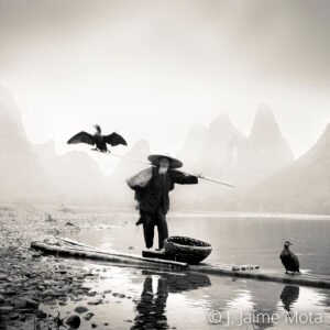 Cormoran y pescador