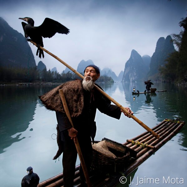 Cormoran y Pescador II