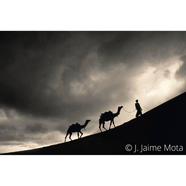 Desierto del Thar