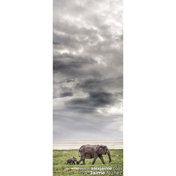 Mamá Elefante