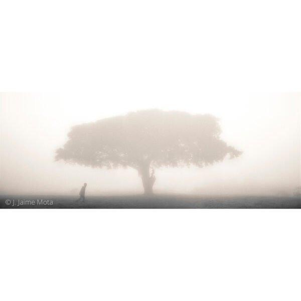 NIEBLA EN NGORONGORO