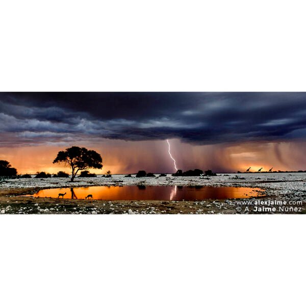 Tormenta en Etosha