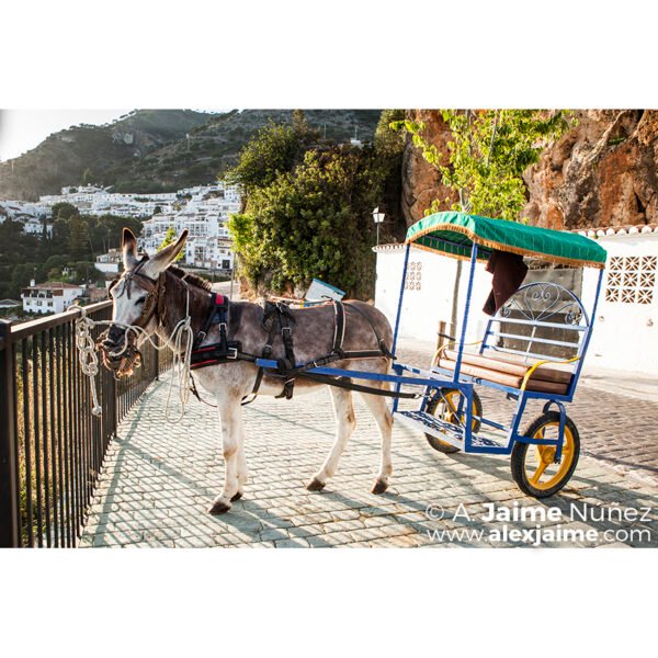 Burro-Taxi y Pueblo