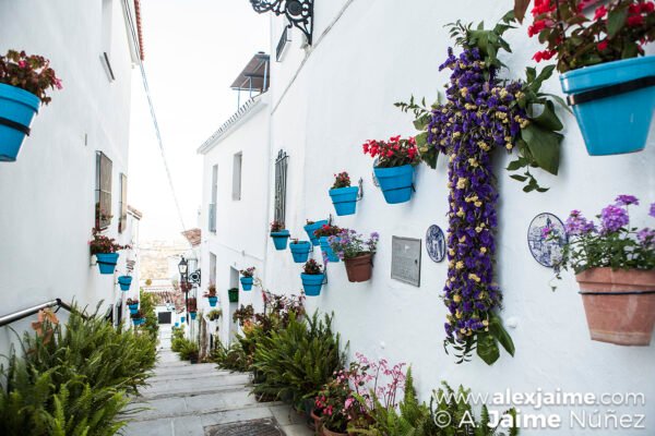 Callejón de los Gitanos