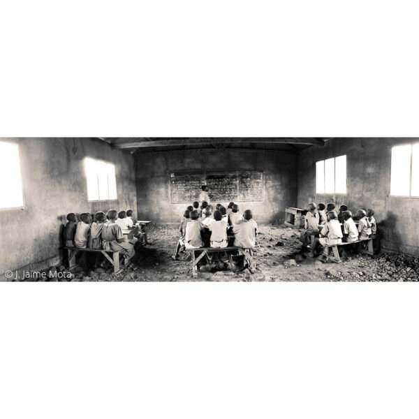 El Colegio